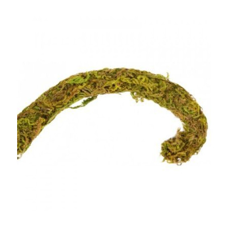 Liána s mechem ReptiZoo Jungle Vines 1,5x200cm
