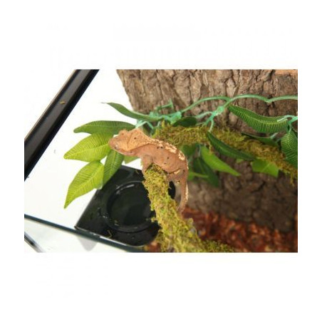 Liána s mechem ReptiZoo Jungle Vines 1,5x200cm