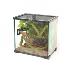 Liána s mechem ReptiZoo Jungle Vines 1,5x200cm