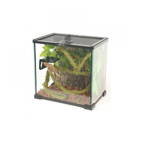 Liána s mechem ReptiZoo Jungle Vines 1,5x200cm