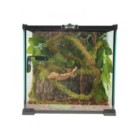 Liána s mechem ReptiZoo Jungle Vines 1,5x200cm