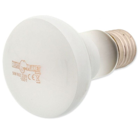 REPTI PLANET Daylight Frosted 50W