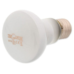 Žárovka REPTI PLANET Daylight Frosted 25 W