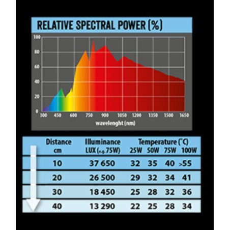 Žárovka REPTI PLANET Daylight Frosted 25 W