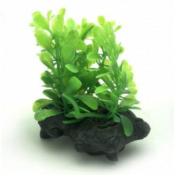 Rostlina do akvária UP Aqua D