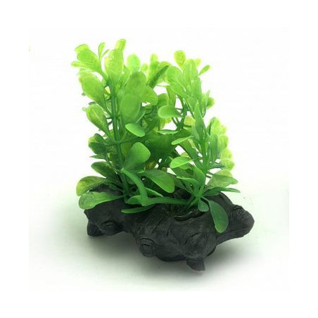 Rostlina do akvária UP Aqua D