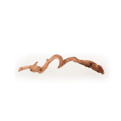 Coral Driftwood S, 20-30cm