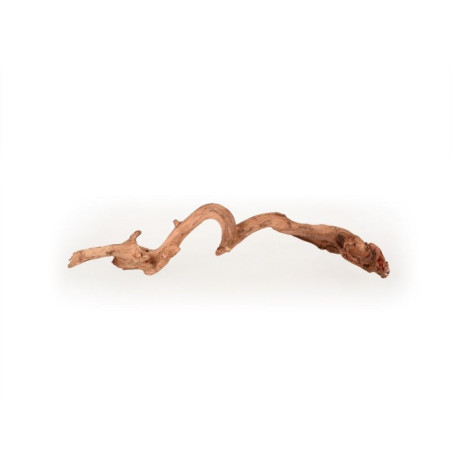 Coral Driftwood S, 20-30cm