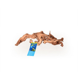 Coral Driftwood M, 30-50cm