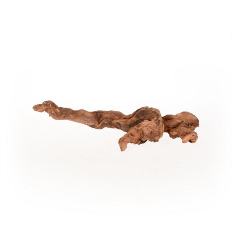 Coral Driftwood M, 30-50cm