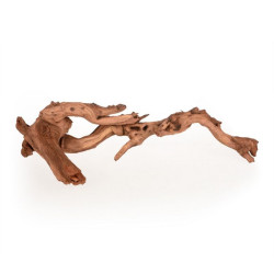 Coral Driftwood L, 50-70cm