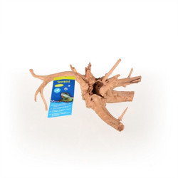 Kořen Azalea Root S