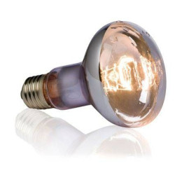 Žárovka do terária Swamp Basking Spot 50 W