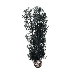 BiOrb černá mořská rostlina střední