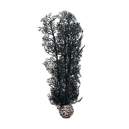 BiOrb černá mořská rostlina střední