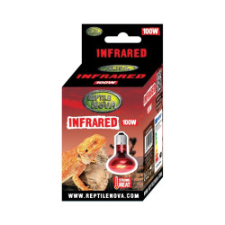 Infražárovka 100W InfraRed
