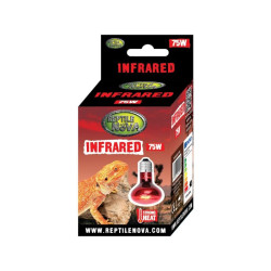 infra žárovka Reptile Nova InfraRed 75W