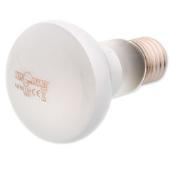 Žárovka REPTI PLANET Daylight Frosted 75 W