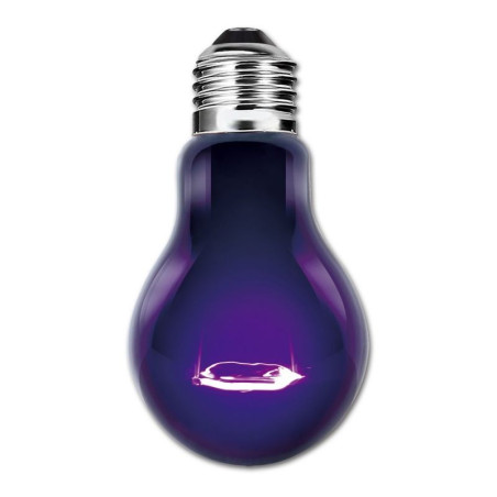 ReptiZoo noční žárovka 35W