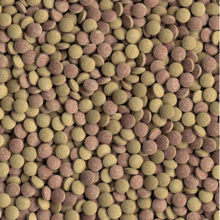 Krmivo TETRA Tablets TabiMin 58 tb.