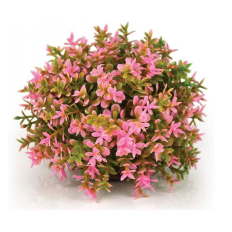 Rostlina BiOrb Flower Ball pink