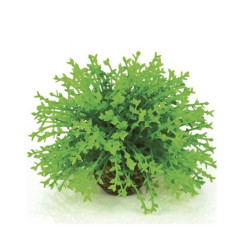 Rostlina BiOrb Green Flower Ball