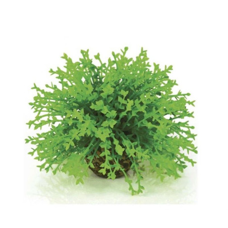 Rostlina BiOrb Green Flower Ball