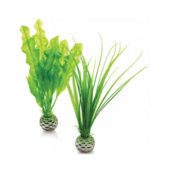 Rostlina BiOrb Easy plant set small green