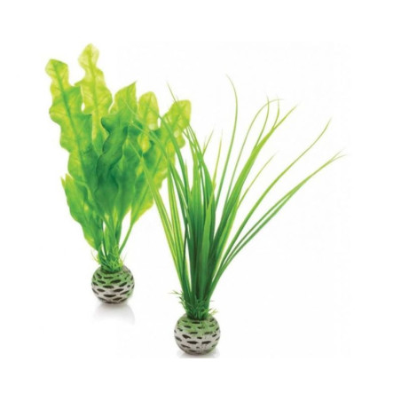 Rostlina BiOrb Easy plant set small green