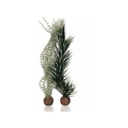 Rostlina BiOrb Ambulia L šedá a zelená