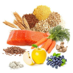 Krmivo Prodac Tarvegetal 60 g