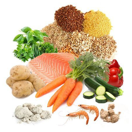 Krmivo pro želvy Tartafood pellets 1200 ml