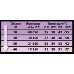 Žárovka REPTI PLANET Daylight Neodymium 25 W