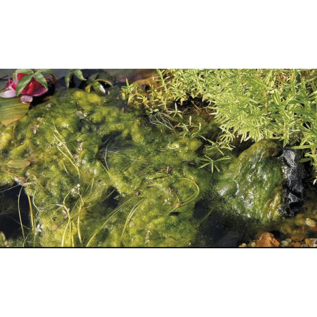 Přípravek na vláknité řasy AquaActiv AlGo Direct 500 ml