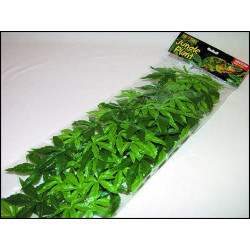 Rostlina textil Abuliton velká