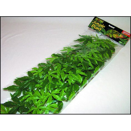 Rostlina textil Abuliton velká