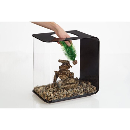 biOrb Feather fern set S zelená