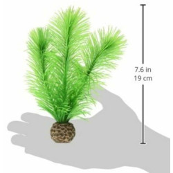 biOrb Feather fern set S zelená