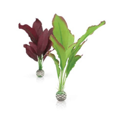 biOrb klejichy sada M zelená a lila