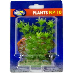 Akvarijní rostlina 10 cm NP10 08078