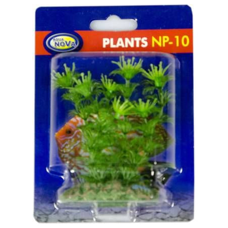 Akvarijní rostlina 10 cm NP10 08078