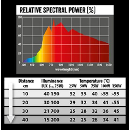 Žárovka REPTI PLANET Daylight Basking Spot 25 W