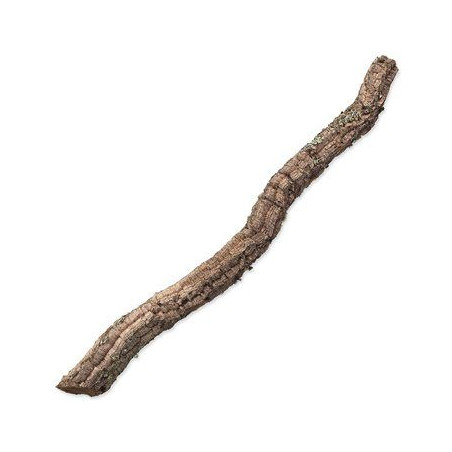 Dekorace Repti Planet Korková větev XL 90cm-120cm