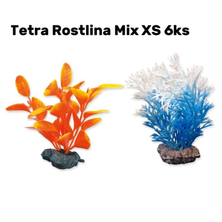 Rostliny TETRA DecoArt Plantastics XS Mix