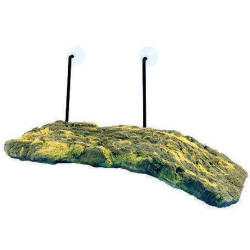 Ostrůvek pro želvy Turtle Dock 10