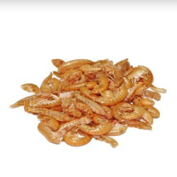 Krmení pro vodní želvy Tartafood gammarus 100 ml