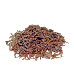 Prodac Bloodworms Chironomus 7g