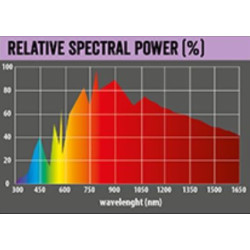 Žárovka REPTI PLANET Daylight Neodymium 50 W