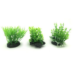 UP Aqua akvarijní rostliny set 6 ks