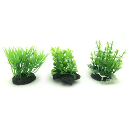 UP Aqua akvarijní rostliny set 6 ks